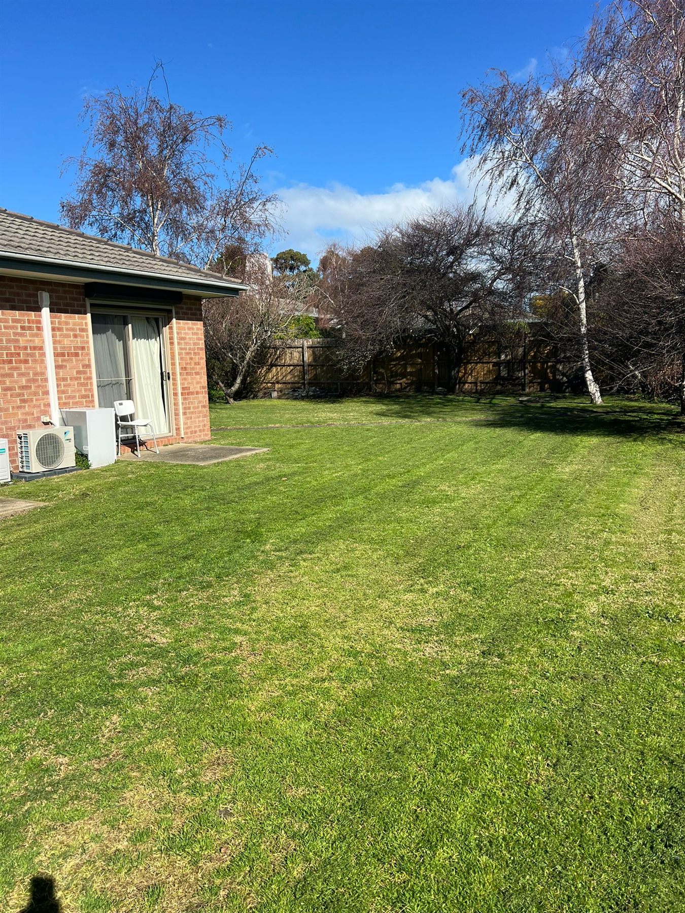 Large maintained backyard lawn