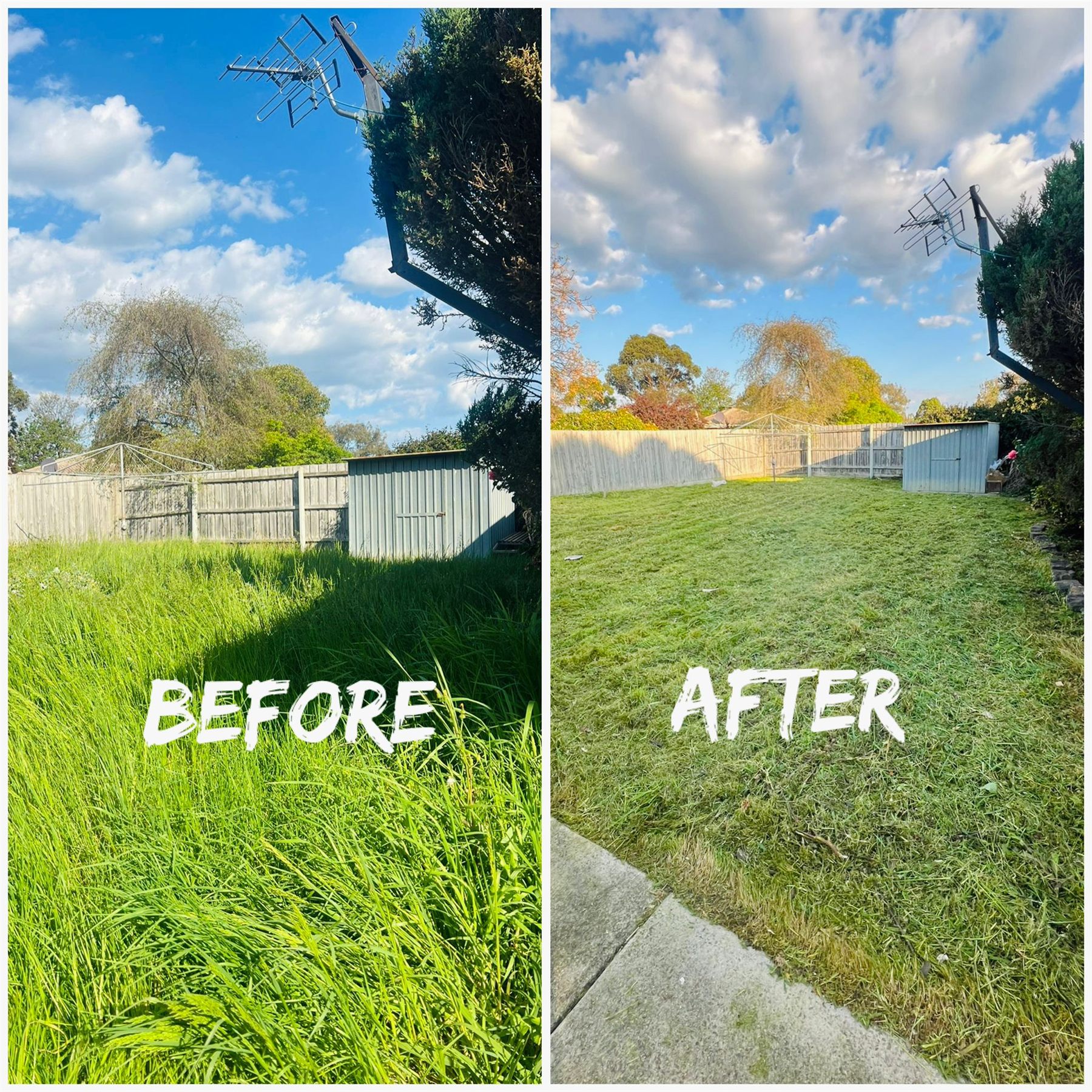 Before and after comparison of an overgrown backyard after a FreshCut first cut