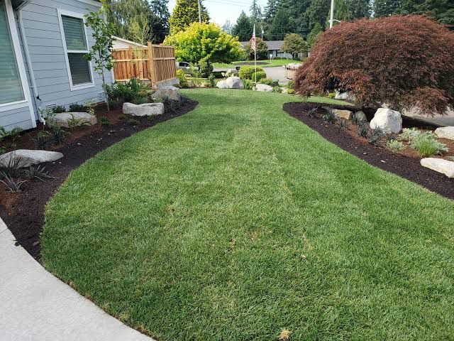 Neat lawn with landscaped garden beds
