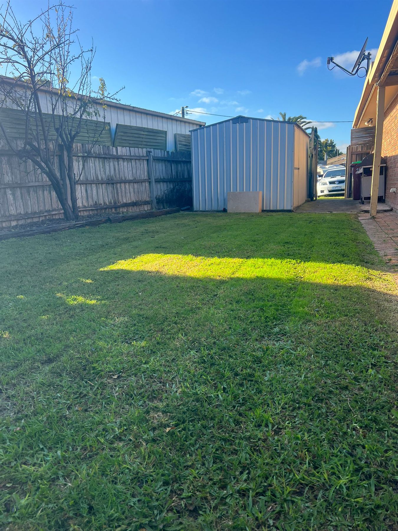 Maintained lawn beside a garden shed